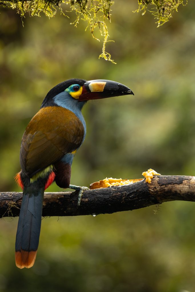 Ecuador Kamera-163