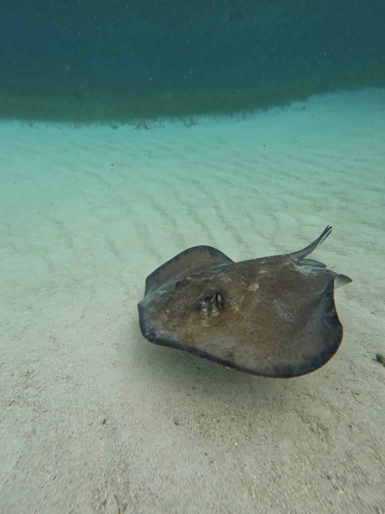 DCIM100GOPROGOPR1284.JPG