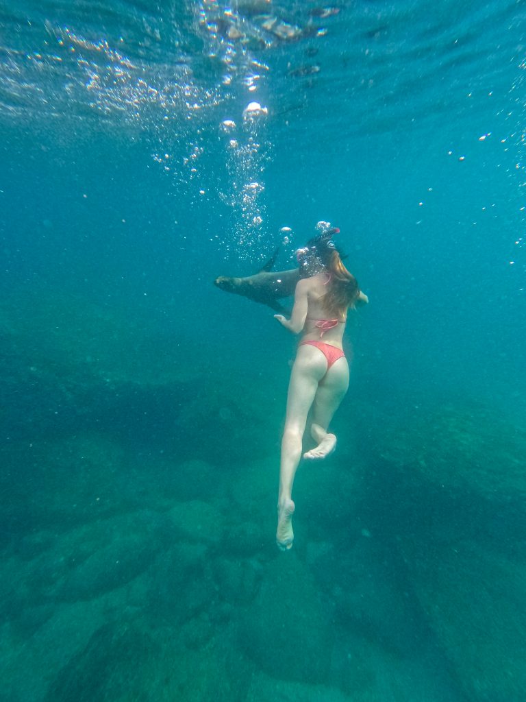 DCIM100GOPROGOPR1649.JPG